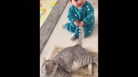 funny video