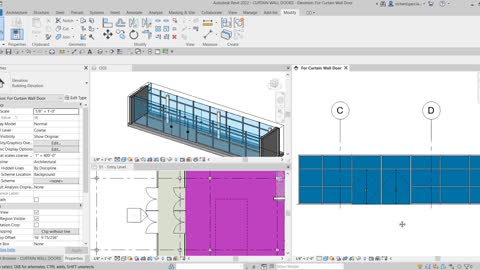 AUTODESK REVIT ARCHITECTURE 2022: CURTAIN WALL DOOR