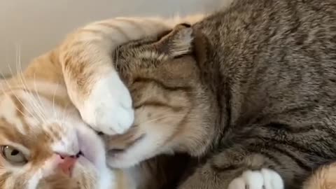Pure love.🥰💞
