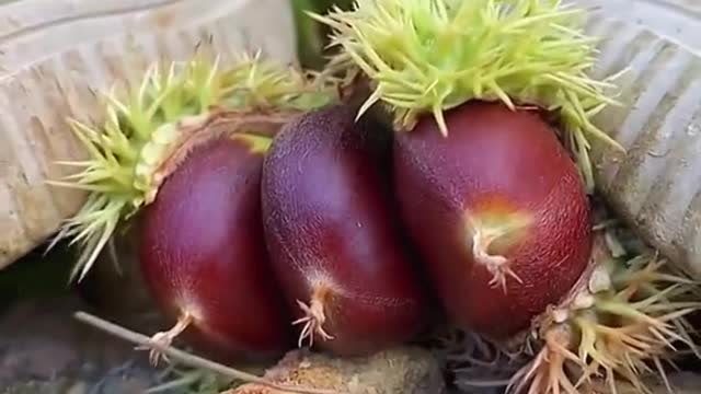 OMG 😱 skill?😋👩‍🌾#usa #fruit #asmr