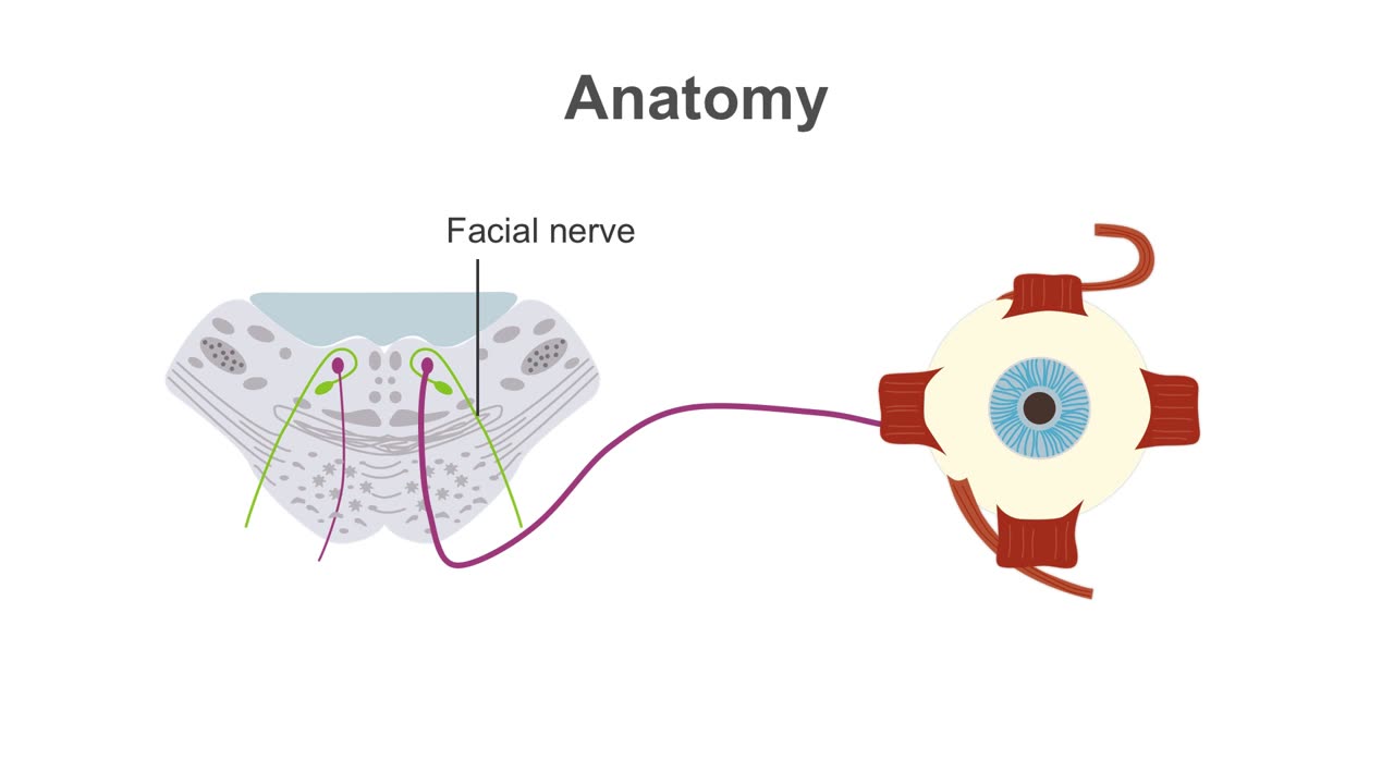 Clinical Neurology Essentials 5.Examining extraocular movements