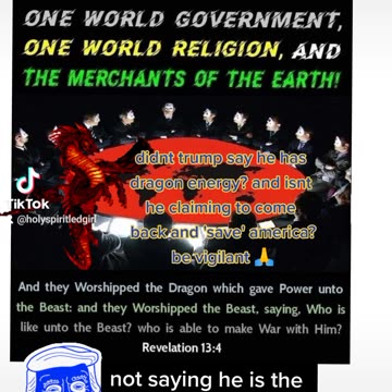 One world gov (dragon energy)