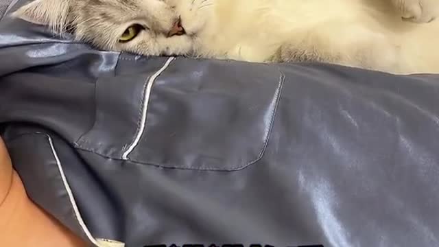 Trouble is really heartwarming
