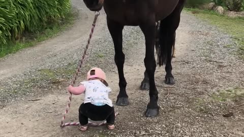 Becarefullwid animal