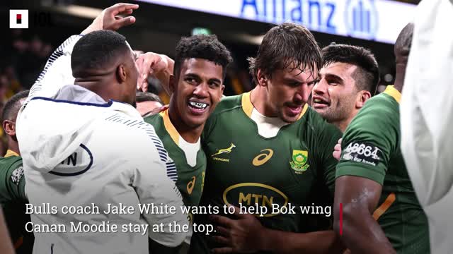 I'm tougher on Canan Moodie now, says Bulls coach Jake White