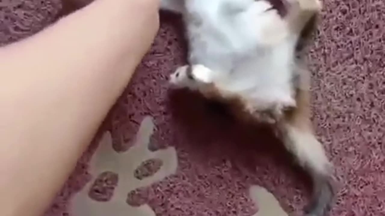 When you step on a piece of gum.