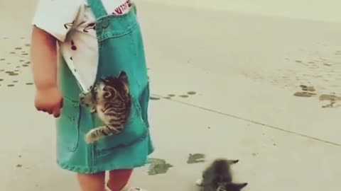 Funny Babies Shorts