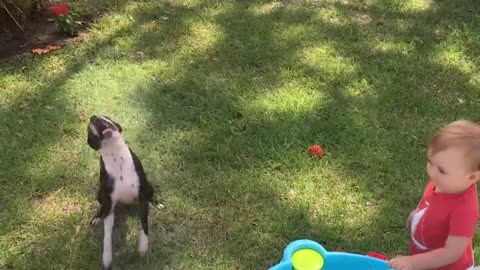 Funny Babies Playing water