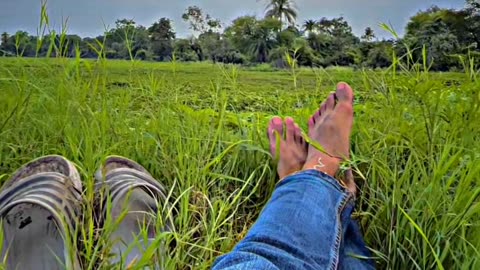 Nature look like a dream
