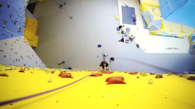 Speed Climbing