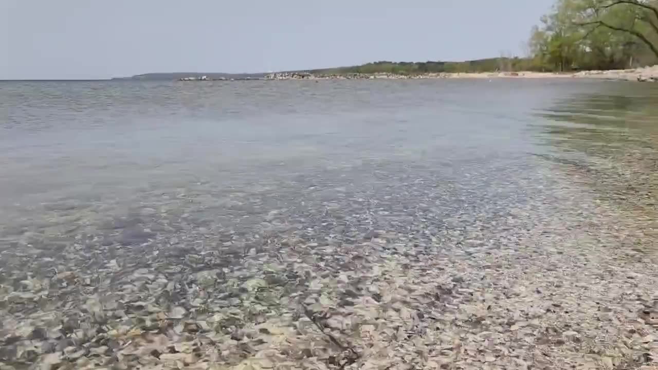 The Beautiful Shell Shoreline