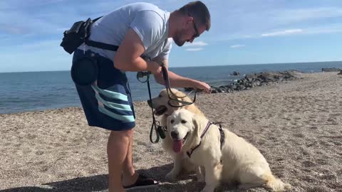 Golden Retriever Puppy First Time in the Sea!