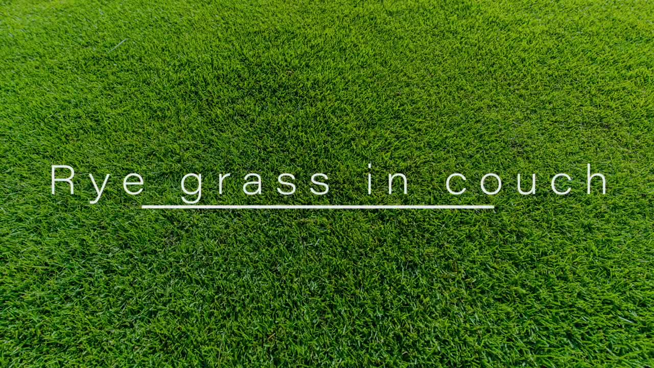 How to remove invading grass varieties from your lawn