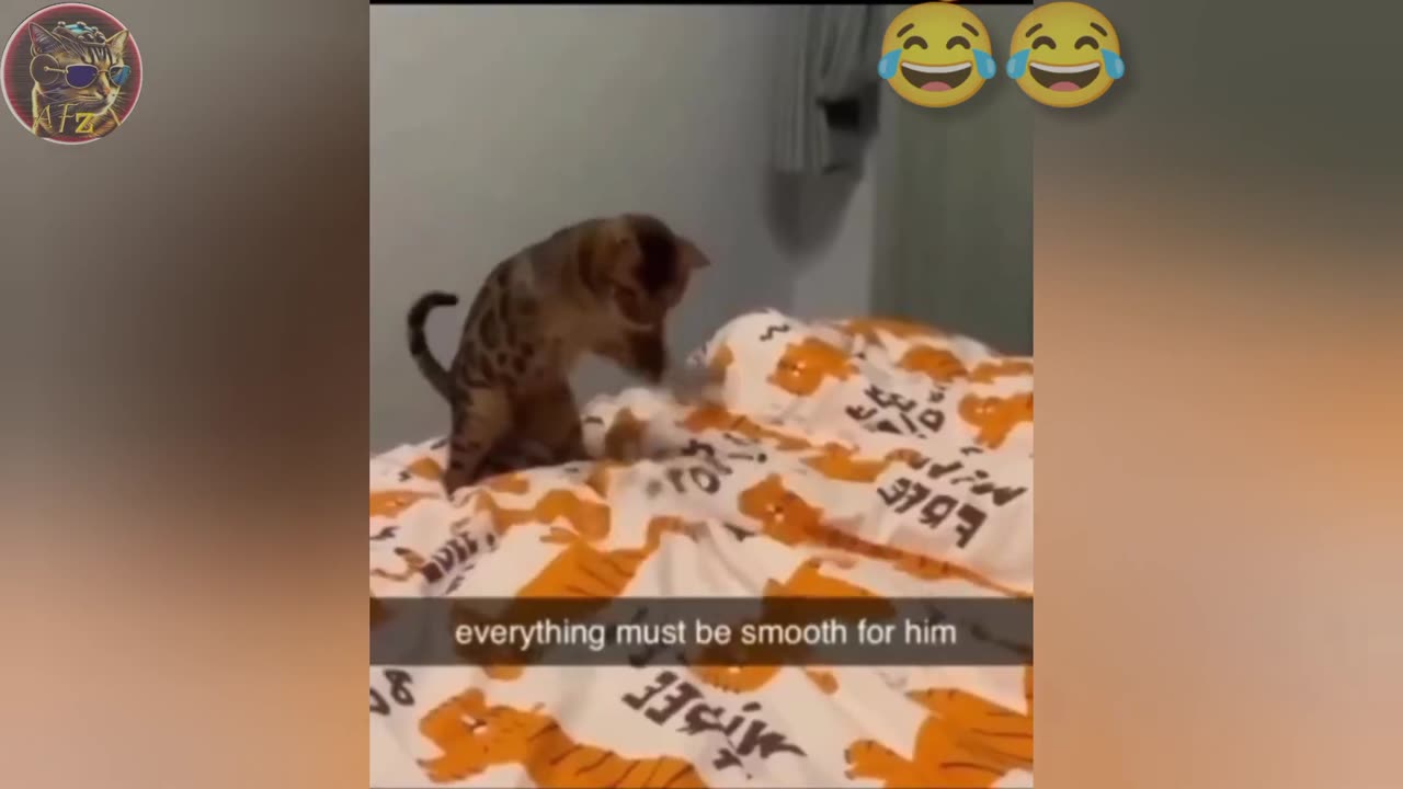 BEST FUNNIEST CATS AND DOGS VIDEOS 2024 😂🤣 FUNNY ANIMAL VIDEOS