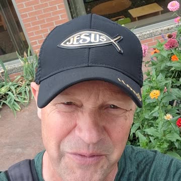 Bumble Bees to the Milwaukee Bucks, it is just too much fun to watch