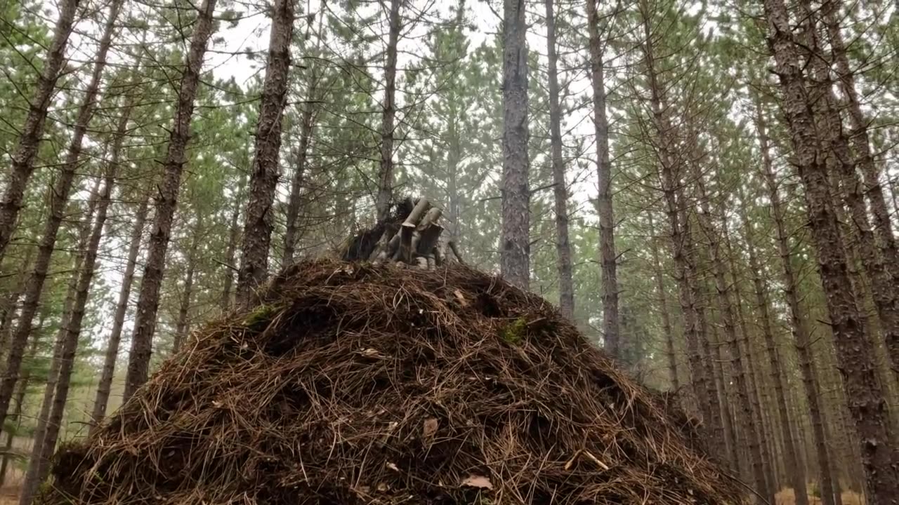 Warm and Cozy Teepee Shelter Build, Inside Fireplace