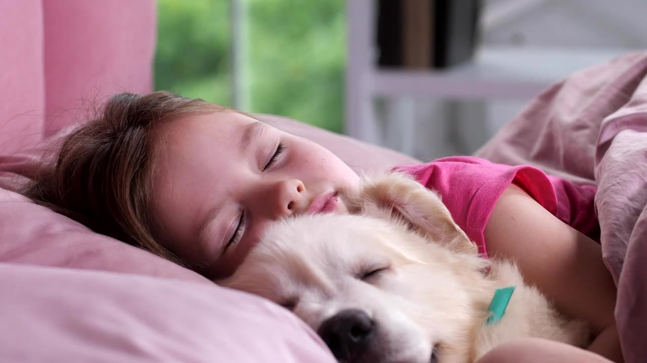 Cute little girl asleep with her beautiful puppy