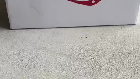 3 Shoes In 1 Shoe!