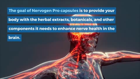 Nervogen Pro Reviews: Does Nervogen Pro Work?