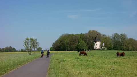 Morning Green Field Cycling Around With Girl friend