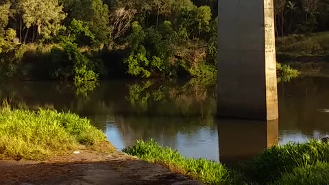 24.11.2024 The Barron River, Kuranda (1)