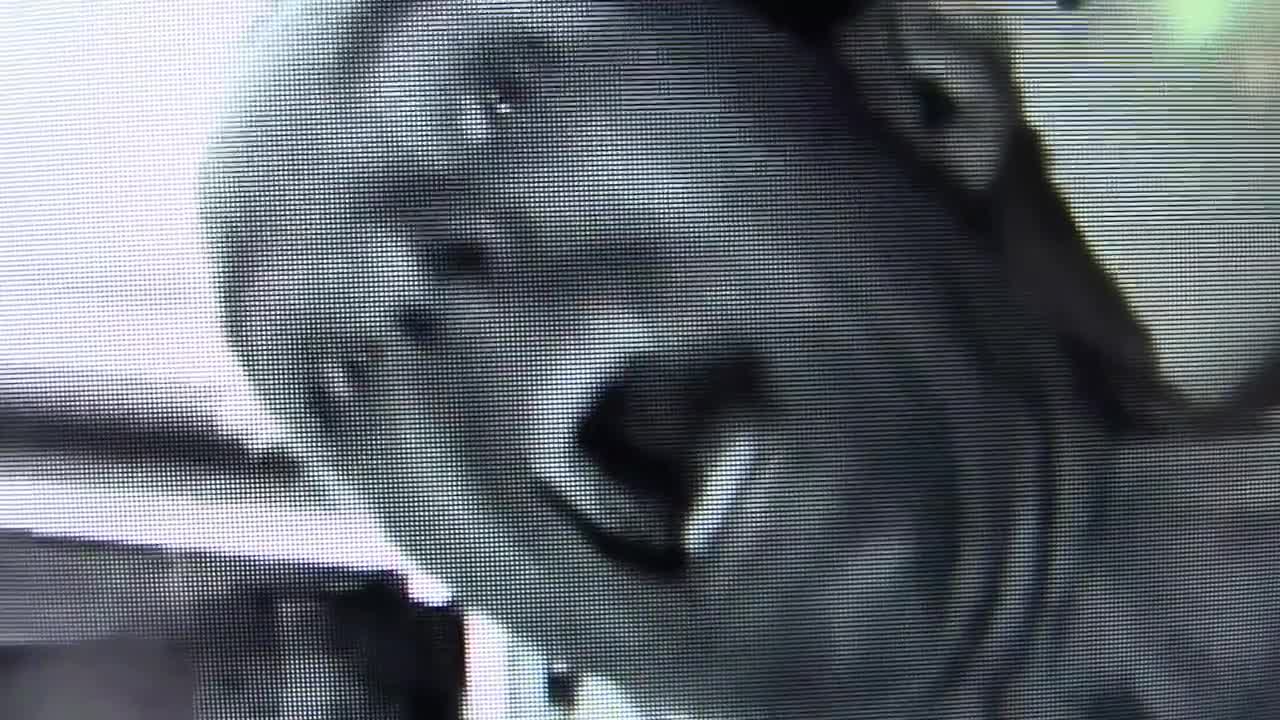 264. Demonic Distortion Test Bruce Reptile-Vamp Again! Look! (5-2016)