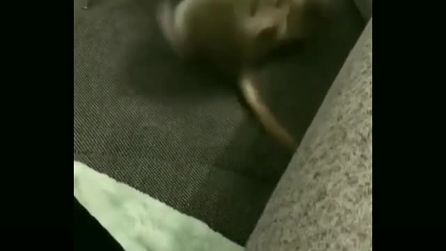 Most funny rate fight 🤣😂