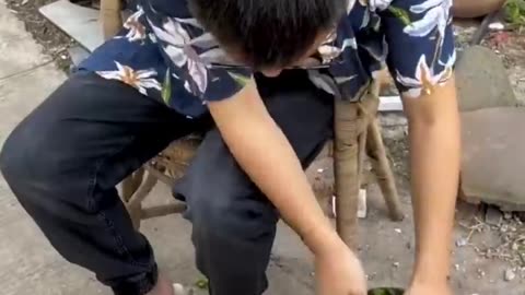 Funal video