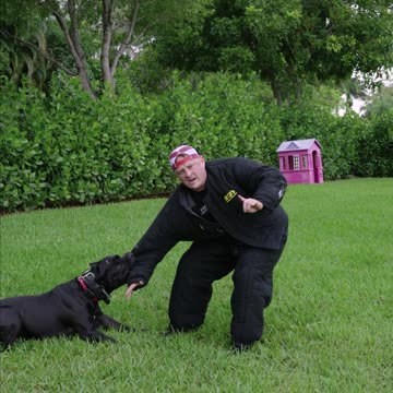 We Need Your Help…