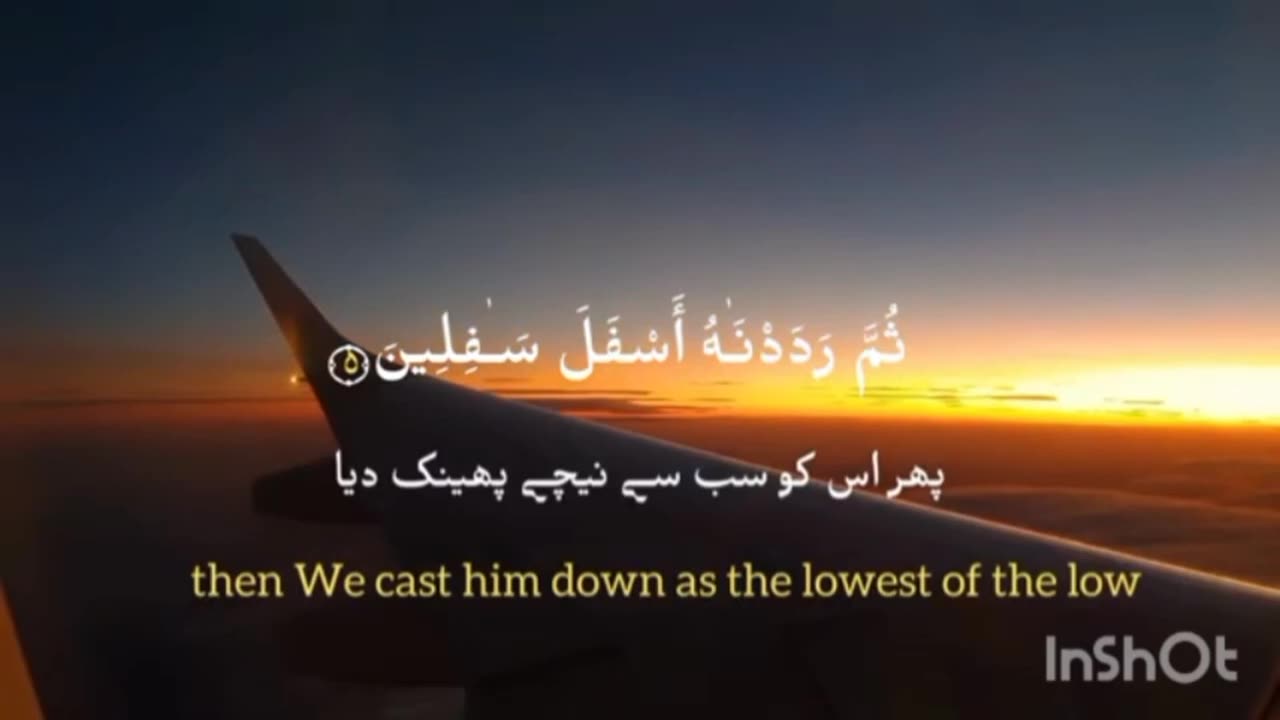 Surah Al-Tin beautiful recitation #quran #islam #recitation