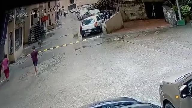 11-year-old boy was bitten by stray dog 