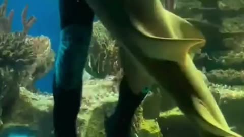 Dancing under water