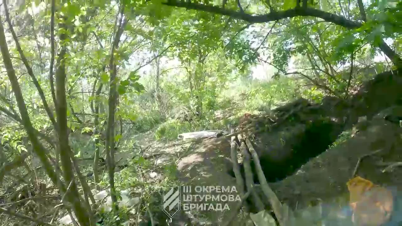 Clearing the forest strip on the outskirts of Bakhmut.