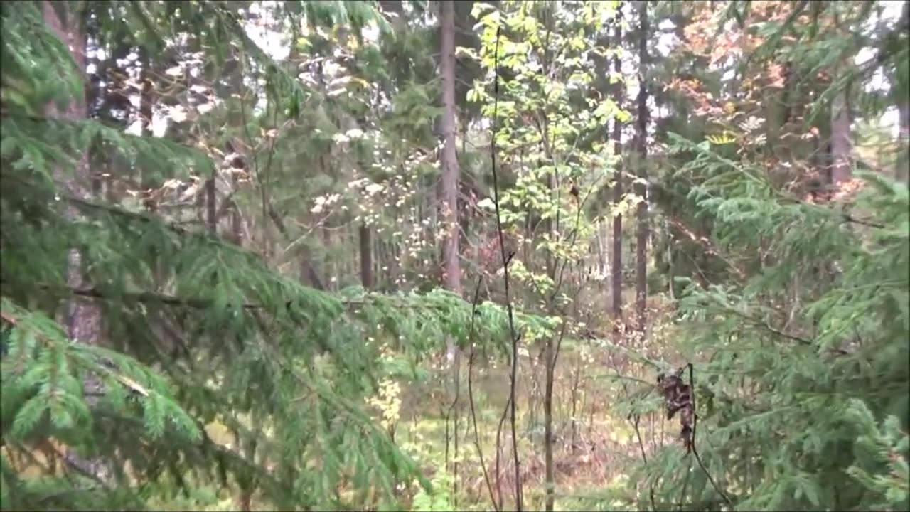 Hylätyt Mestat kumpunotko UE-18