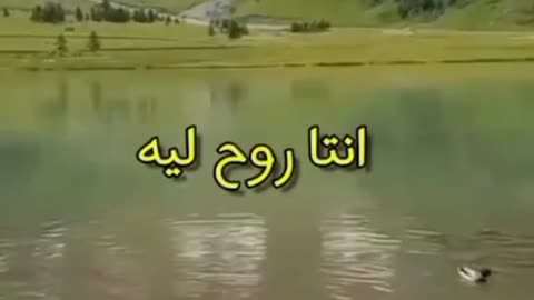 بحيرة كبيرة وجميلة