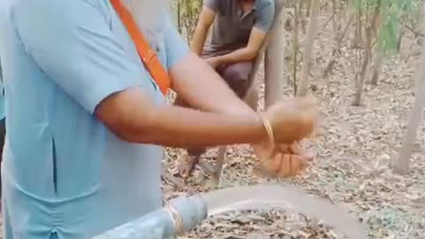 ਮੌਜ ਕਰਦੀ