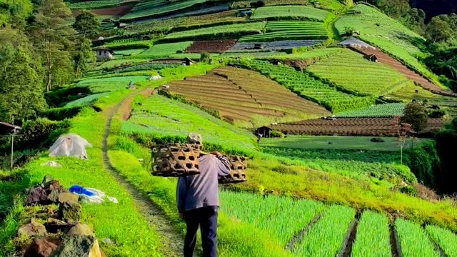 Marongan Sukomakmur Kajoran Magelang