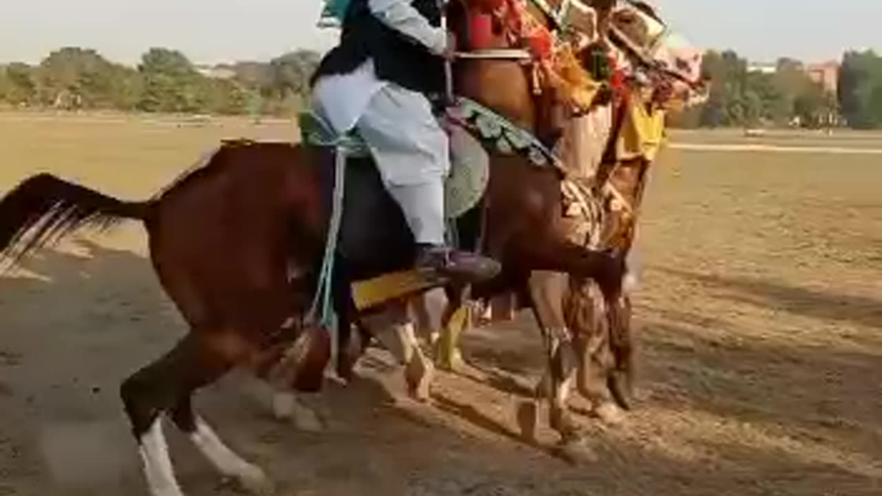 Colorful tent pegging in Punjab Pakistan