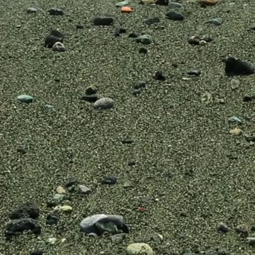 A Journey to Zen: How Relaxing This is for Mind and Body? Volume 143