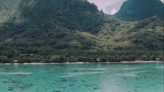 Island between heaven and sea: Morea Island in French Polynesia