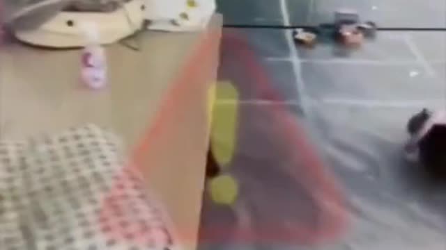 A dog's daily routine