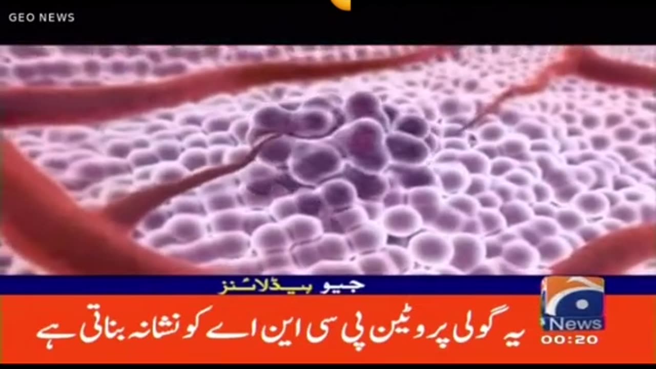About cancer