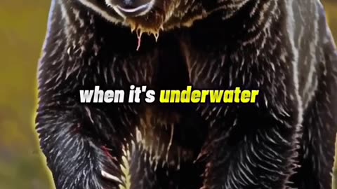 Animals Are Amazing