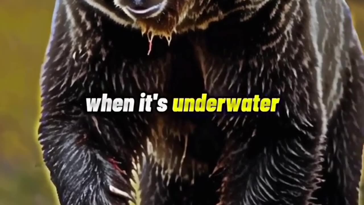 Animals Are Amazing