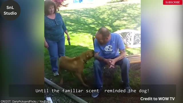 Animals Reunited With their Owners After Years!