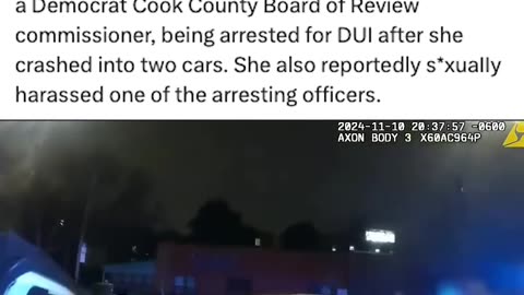 Politics - 2024 Cook County Liberal Elected Official Samantha Steele DUI Body Cam Footage