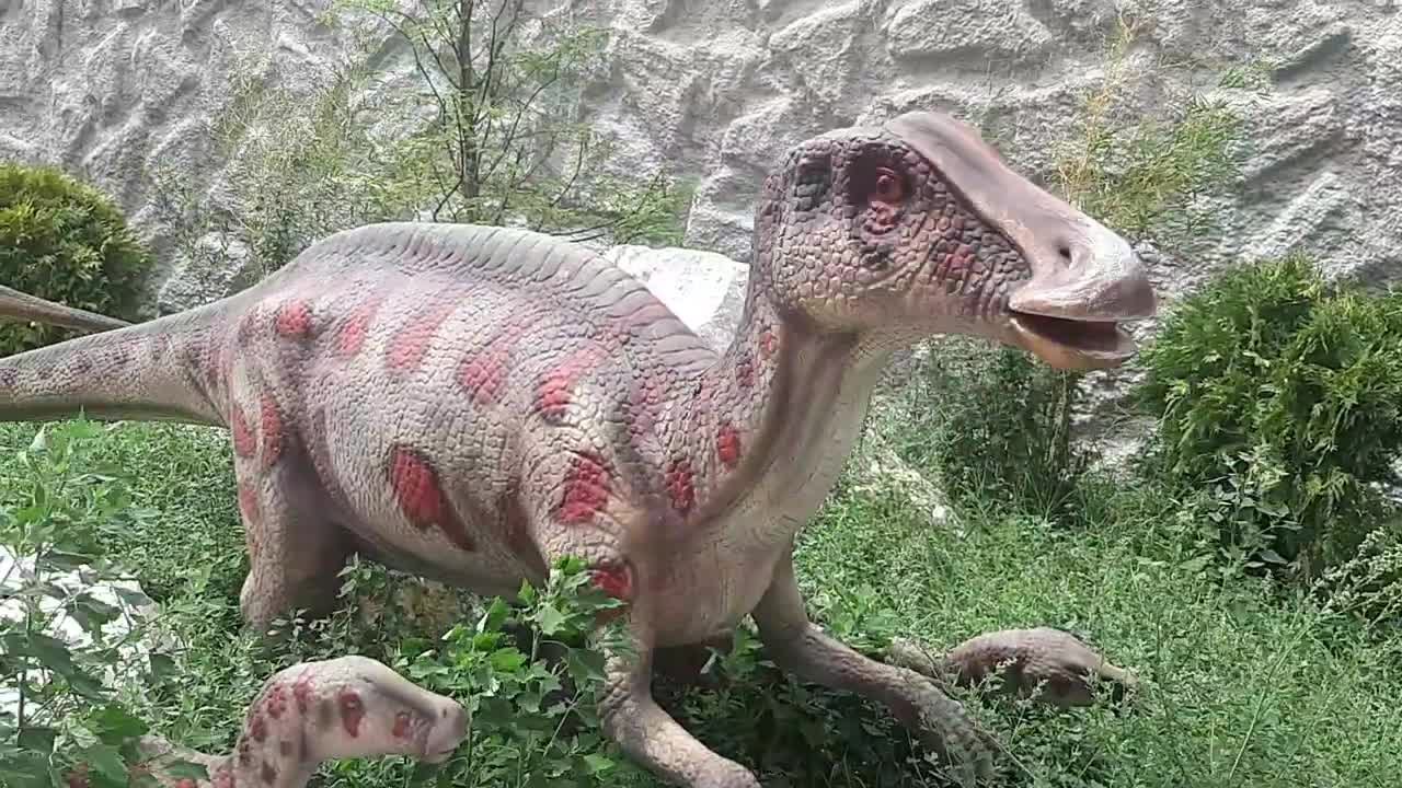 Dino Park 🇵ðŸ‡ðŸ‡²ðŸ‡°