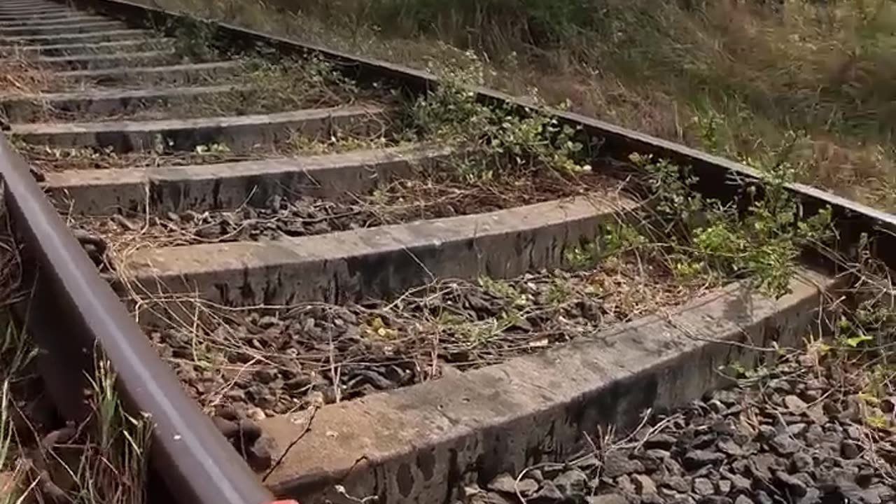 Train VS Lifebuoy Soup