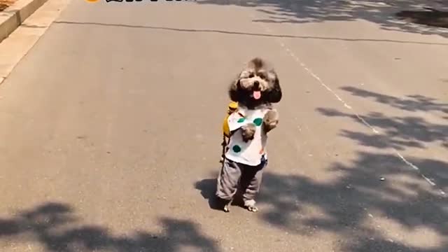 so cute balls