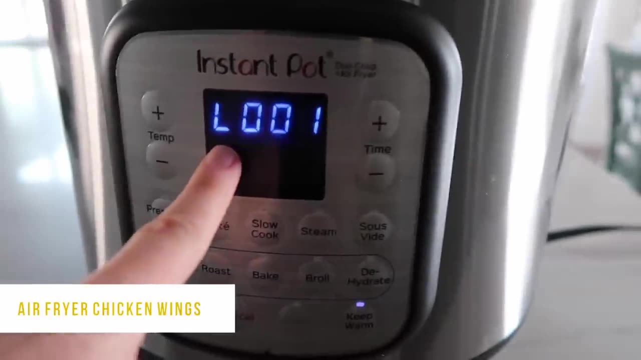 How to use DUO CRISP + AIR FRYER (Instant Pot)